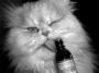 olaff