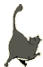 Shamanova