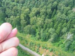 post-7094-1263490574_thumb.jpg