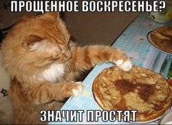 post-104189-0-17963700-1424639521_thumb.jpg