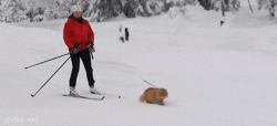 post-104189-0-21450600-1456204014_thumb.gif