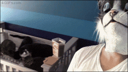 post-104189-0-97415900-1456204453_thumb.gif