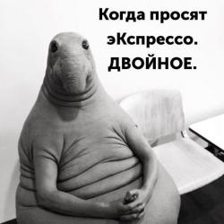 post-98765-0-65803500-1486530422_thumb.jpg