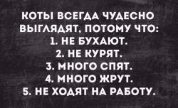 post-104189-0-68368600-1518765382_thumb.jpg