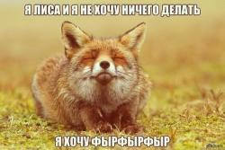 post-54400-0-92255900-1518241560_thumb.jpeg
