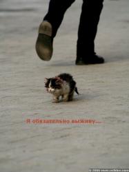 post-46552-1269551424_thumb.jpg