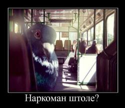 post-58717-1363614286_thumb.jpg