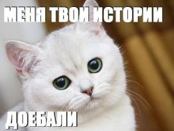 post-58717-1364378692_thumb.jpg