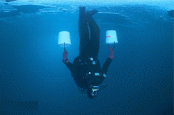 post-104189-0-48947500-1457089039_thumb.gif