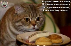 post-108000-0-70707700-1427874624_thumb.jpg