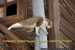 post-48899-1274644895_thumb.jpg