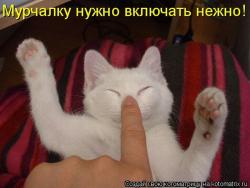 post-48899-1274644993_thumb.jpg