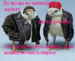 post-59683-1309442941_thumb.jpg