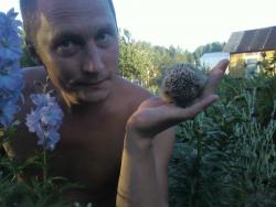 post-14294-1247780955_thumb.jpg