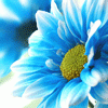 post-25395-1248259424_thumb.gif