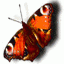 post-38771-1248100920_thumb.gif