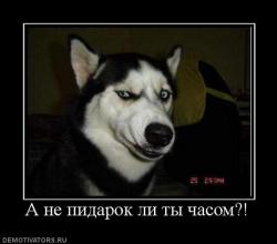 post-84039-0-94455400-1373094914_thumb.jpg