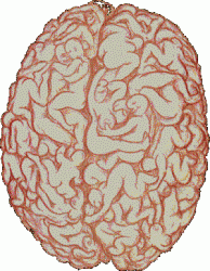 post-108672-0-98569300-1437341613_thumb.gif