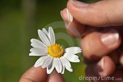 post-56709-1313942640_thumb.jpg