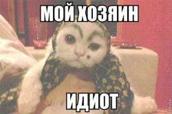 post-93164-0-65804600-1379793185_thumb.jpg