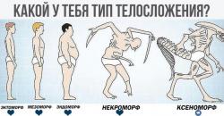 post-138206-0-62496200-1504370878_thumb.jpg