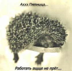 post-10232-1256244327_thumb.jpg