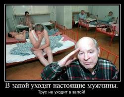 post-104189-0-62911100-1445148733_thumb.jpg