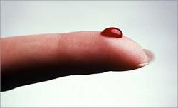 post-49570-1259361556_thumb.jpg