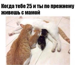 post-104189-0-94247000-1511851704_thumb.jpg