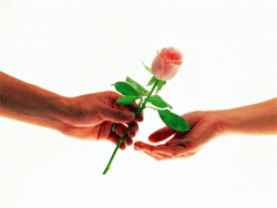 post-25395-1260903877_thumb.gif