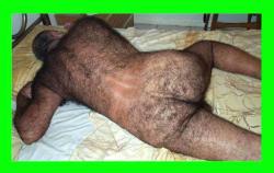 post-50709-1260284237_thumb.jpg