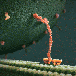 post-5200-0-41266700-1449737898_thumb.gif