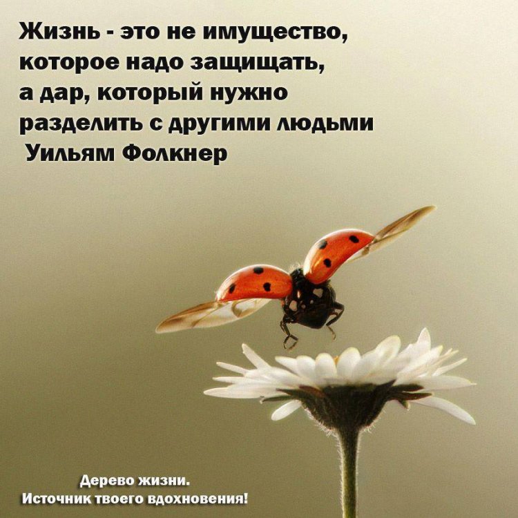 blog-0174374001502798240.jpg