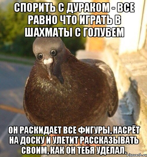 iskra-snov_49538465_orig_.jpeg.027bee08590c398f2a4e7168a3c543ee.jpeg