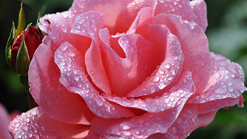 1.jpg.3c4e04506369a4c1aa435ec071cbd9a9.jpg