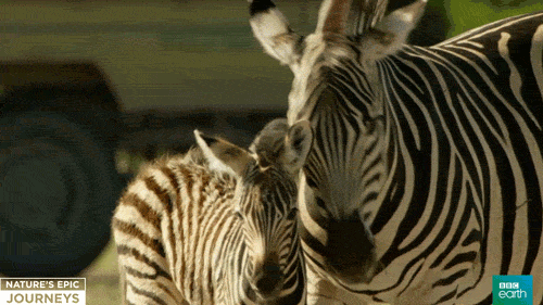 505d39c66014.gif.03c2d96828707d1249b909b7954fe58b.gif