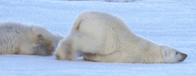 GBZ2K8yAT4.gif.2c0fc81f8170d482e778d6aea1ae9e68.gif