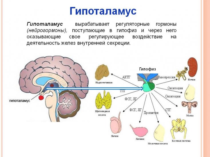 1.jpg.e4709333d7f7c726c15a71e982c898a0.jpg