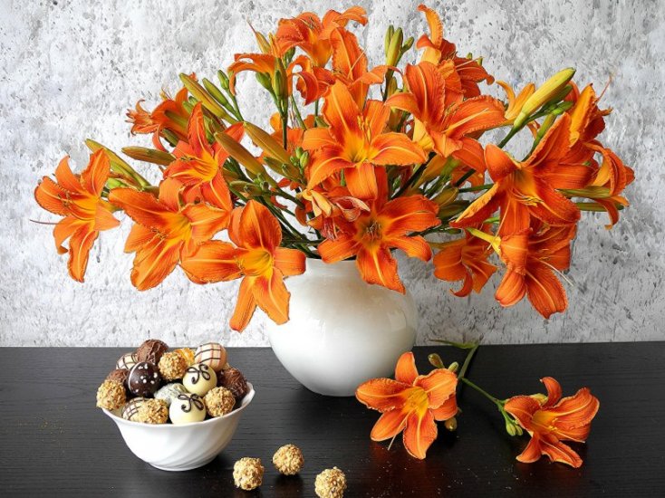 Lilies_Candy_Still-life_482008_1400x1050.thumb.jpg.d6be488d106defe02e90e71af1a5e246.jpg