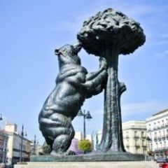 Мадридский_Бомж