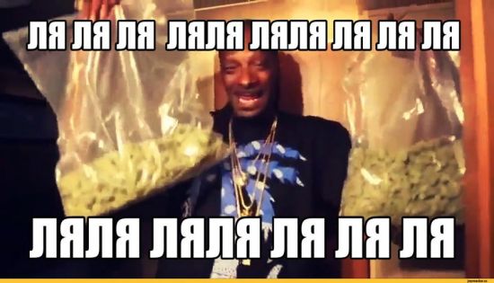 шишки-Снуп-Дог-Баян-песочница-2067730.jpeg