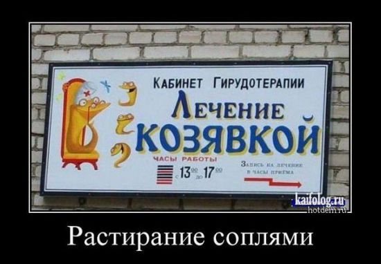 Козявка.jpg