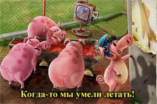 летать.jpg