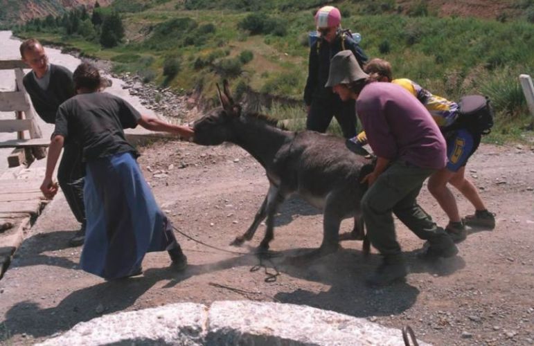 165.jpg