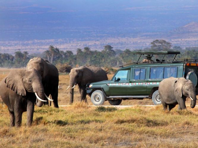 Afrika-25.jpg.0af7fd556e03e51d2d360ac708b815a8.jpg