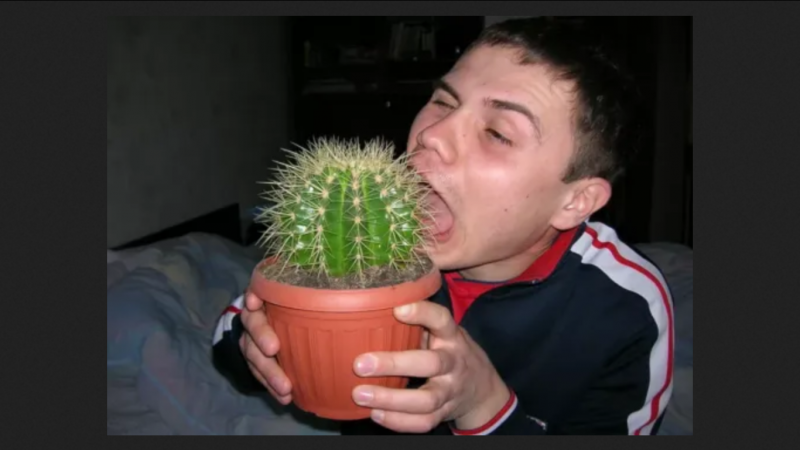 1985700727_.png.94fa9a09f4e92d257056457b53c2e113.png