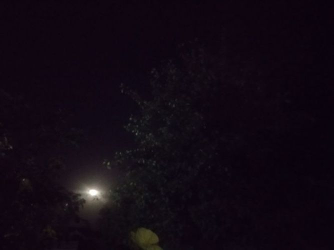 IMG_20200902_210506.jpg