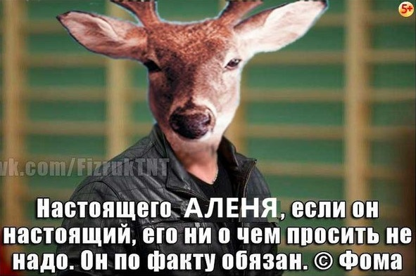276450895_4a609db75cf058cea324dfb2376cc5bb_800.png.6f3a591d5f86269445b53ef5c88bbc84.png