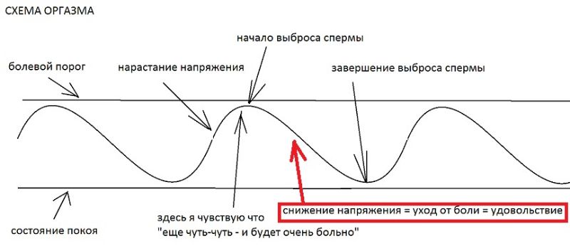 727468293_.jpg.6d00476024a8c170586a71379ac87033.jpg