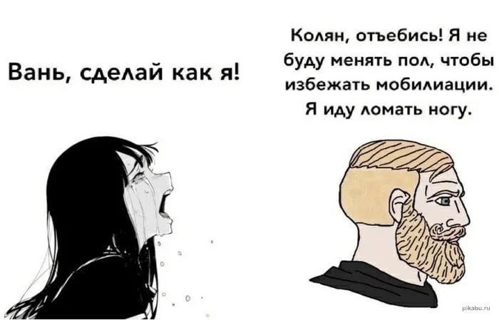 163806614_.jpg.e48cdebc2d227cd87795c0307dfa2482.jpg